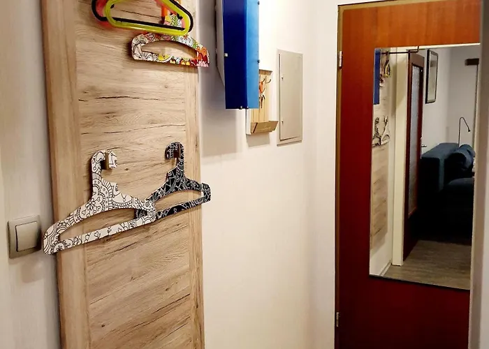 Kajuete C 17 بورهاف